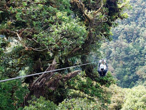 Sky Tram and Sky Trek Monteverde Costa Rica