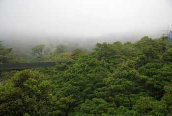 Sky Tram and Sky Trek Monteverde