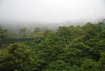 Sky Tram and Sky Trek Monteverde photo 2
