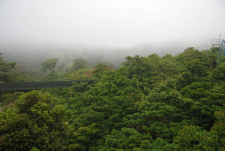 Sky Tram and Sky Trek Monteverde photo 2