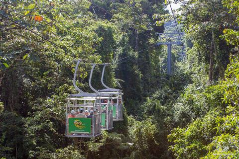 Sky Tram and Guided Sky Walk Monteverde