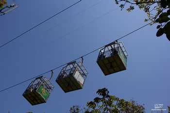 Sky Tram and Sky Walk Monteverde