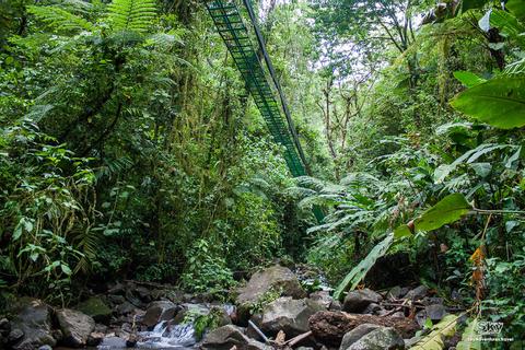 Sky Tram and Guided Sky Walk Monteverde