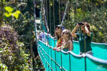 Sky Tram and Guided Sky Walk Monteverde