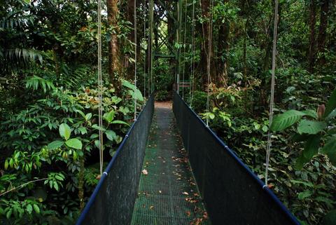 Sky Tram, Trek and Sky Walk Costa Rica