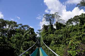 Sky Walk Arenal