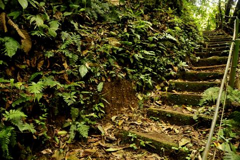 Sky Walk Arenal Costa Rica