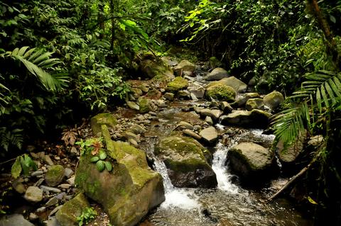 Sky Walk Arenal