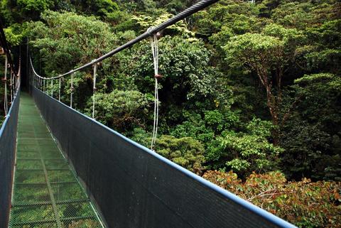 Sky Walk Guided Tour Monteverde Costa Rica