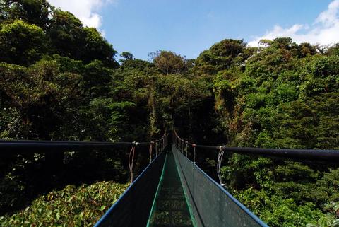Sky Walk Guided Tour Monteverde Costa Rica
