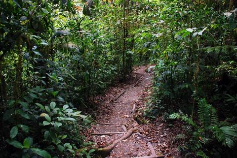 Sky Walk Guided Tour Monteverde Costa Rica