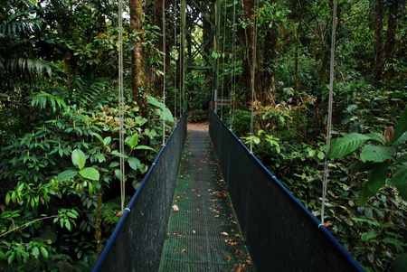 Sky Walk Tour Self-Guided Monteverde