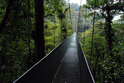Sky Walk Guided Tour Monteverde Costa Rica