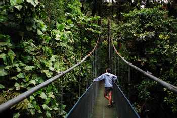 Sky Walk Tour Monteverde