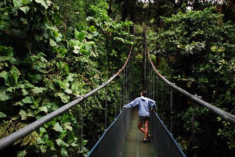 Sky Walk Guided Tour Monteverde Costa Rica