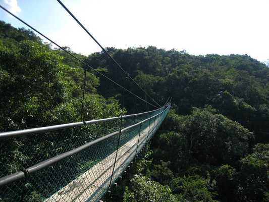 Sky Way Hanging Bridges Tour