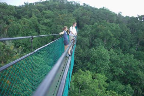 Sky Way Hanging Bridges Tour Guatemala