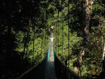 Tour Sky Way Puentes Colgantes – INP photo 2