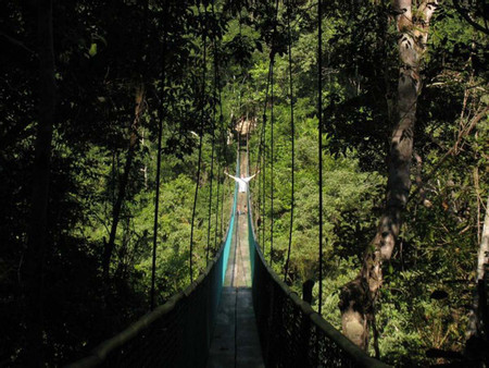 Tour Sky Way Puentes Colgantes – INP photo 2