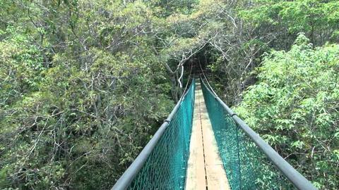 Sky Way Hanging Bridges Tour Guatemala