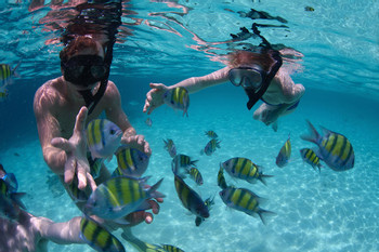 Snorkel Mexico Rocks photo 3