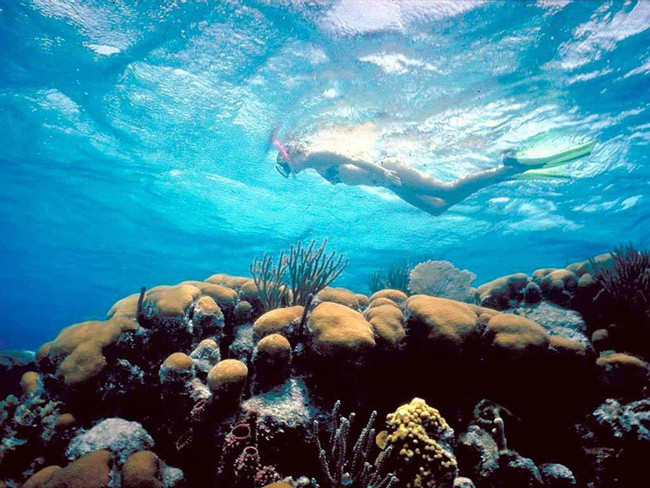 Snorkel Mexico Rocks photo