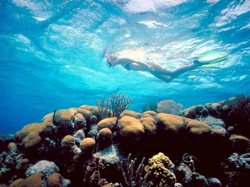 Snorkel Mexico Rocks photo