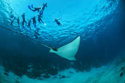 Hol Chan Snorkeling Tour Belize