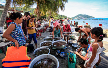 Cu Lao Cham snorkeling tour photo 5