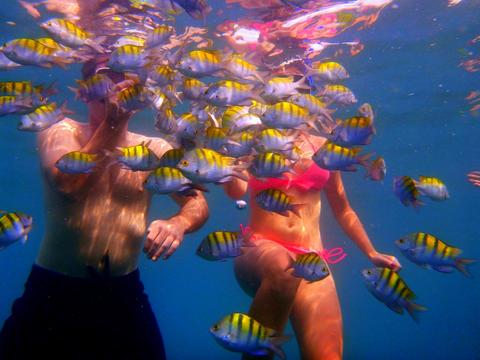 Snorkeling in Manuel Antonio Costa Rica