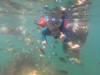 Snorkeling en Manuel Antonio photo 3