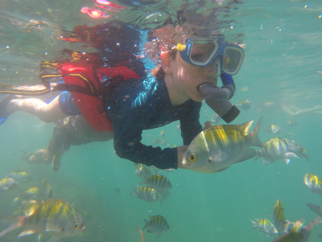Snorkeling in Manuel Antonio Photo