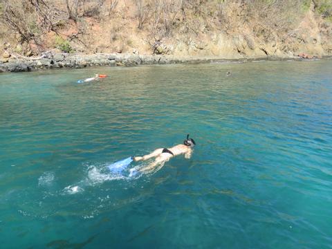 Tour de snorkeling en Playa Flamingo