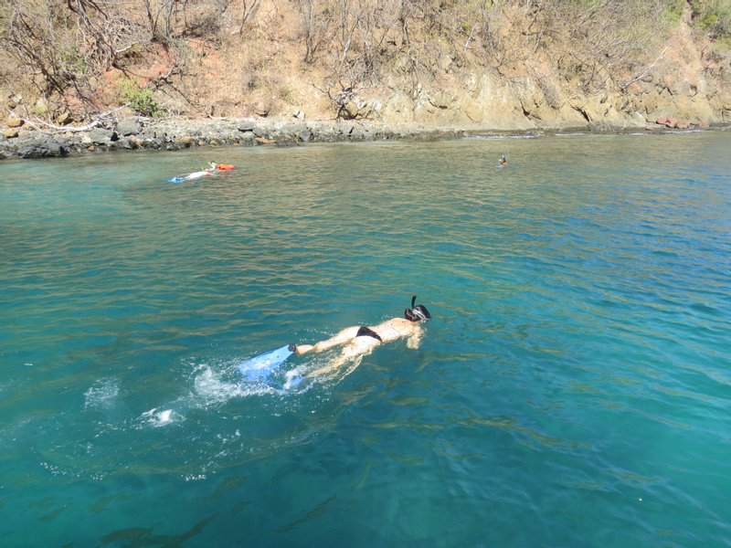 Playa Flamingo Snorkeling Tour photo