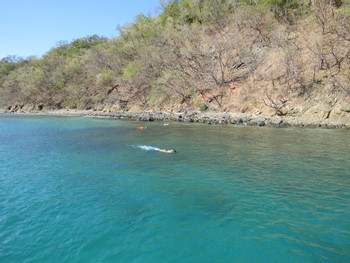Playa Flamingo Snorkeling Tour photo 5