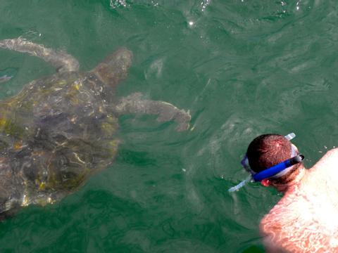 Snorkeling with Sea Turtles at Organos Peru