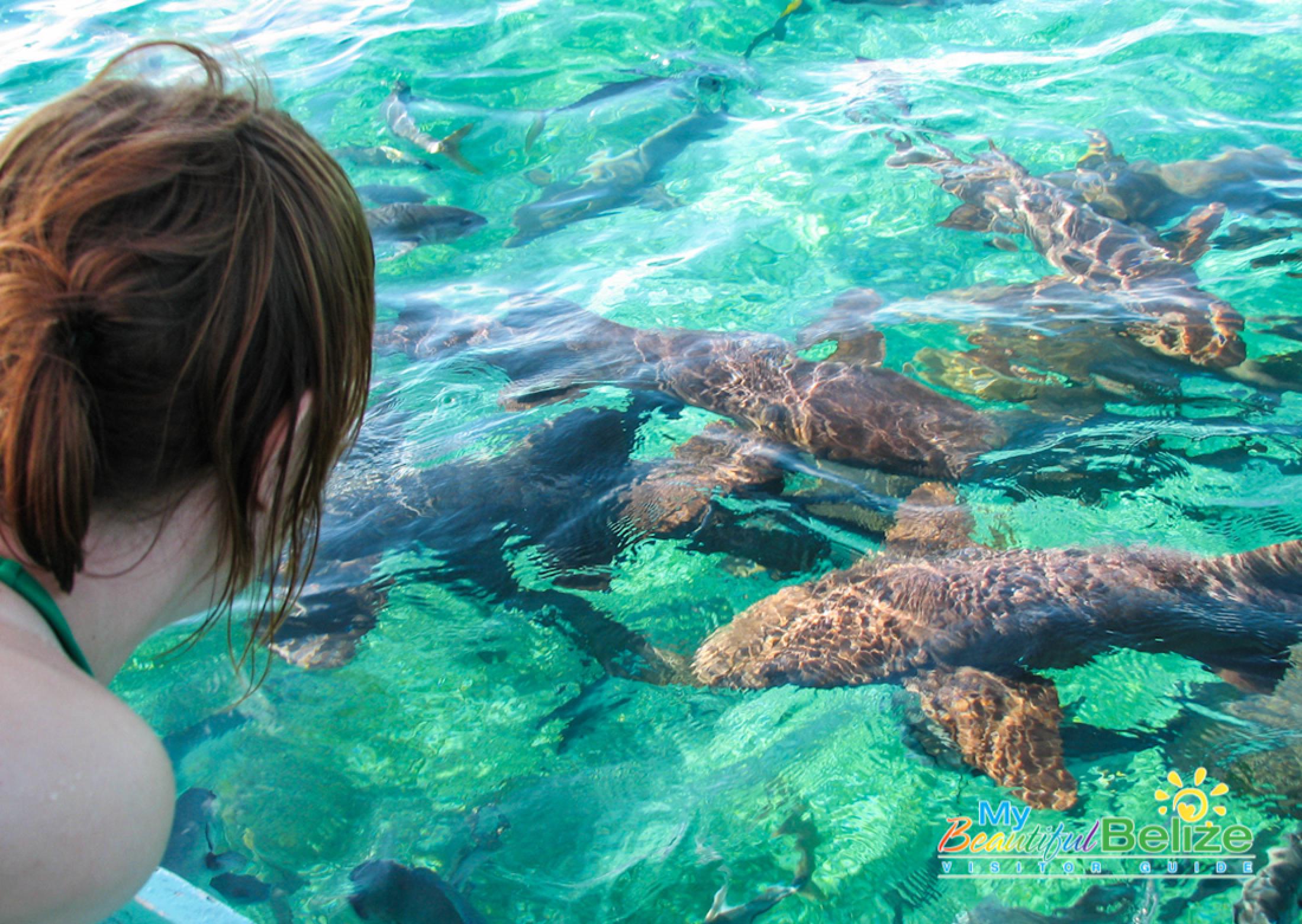 Snorkel Hol Chan and Stingray Alley San Pedro, Belize