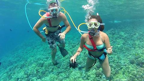 Snuba Tour Hol Chan Marine Reserve or Mexico Rocks Belize