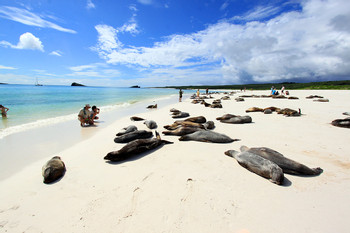 South Plaza Island photo 2