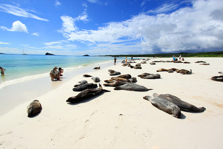 South Plaza Island photo 2