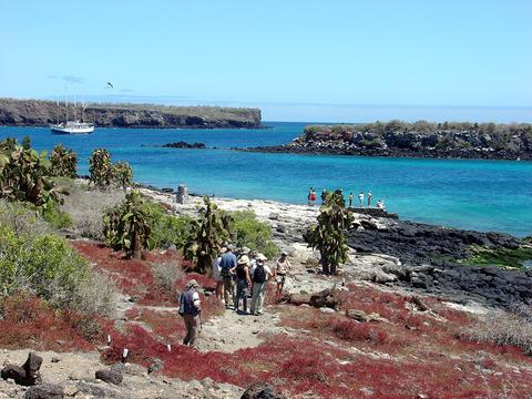 South Plaza Island