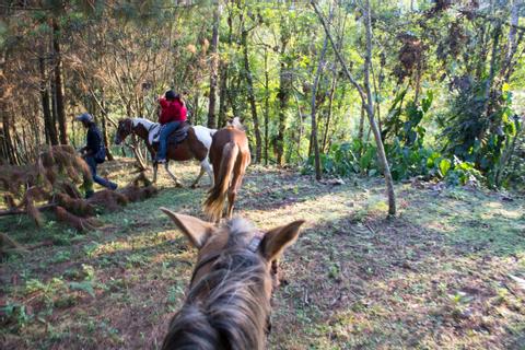 Sunset  Horseback Ride Guatemala