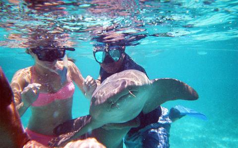 Tour de Snorkelling al Atardecer Belize