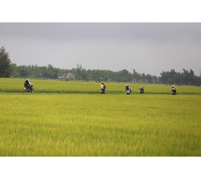 Tam Giang Xe Om Adventure photo