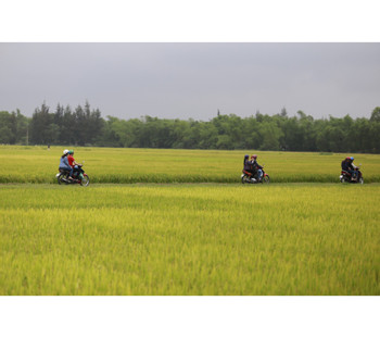 Tam Giang Xe Om Adventure photo 4