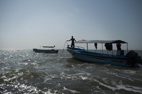 Golfo de Guayaquil: Aves y Delfines