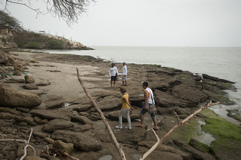 The Gulf Of Guayaquil: Birds & Dolphins photo 5
