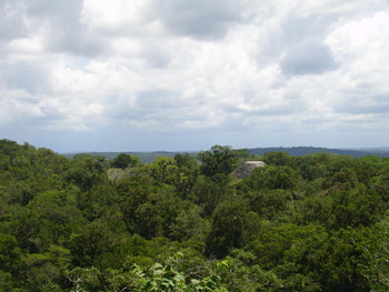 Tikal One Day photo 5