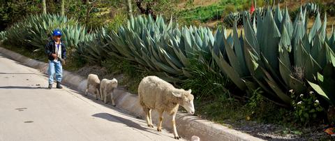 Hike From Todos Santos to Nebaj Guatemala
