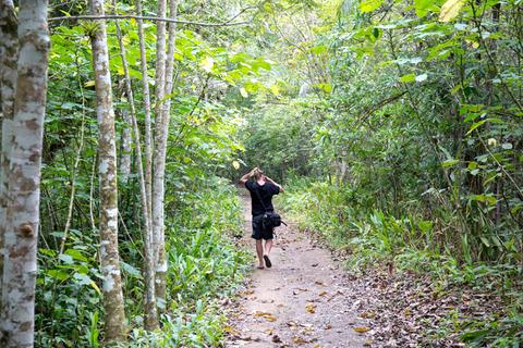 Topes de Collantes Natural Park Tour